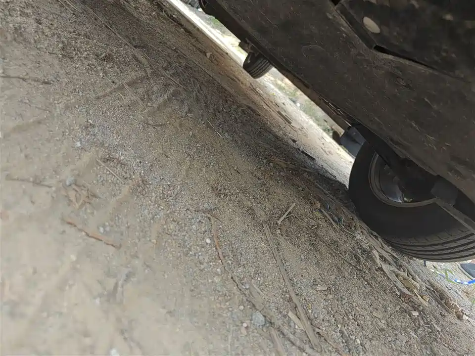 Forthing Lingzhi PLUS