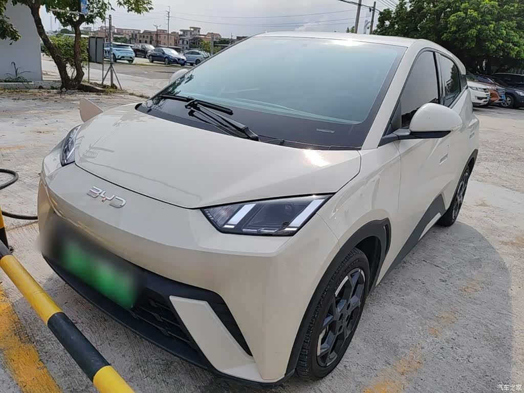 BYD Seagull, 2025 2