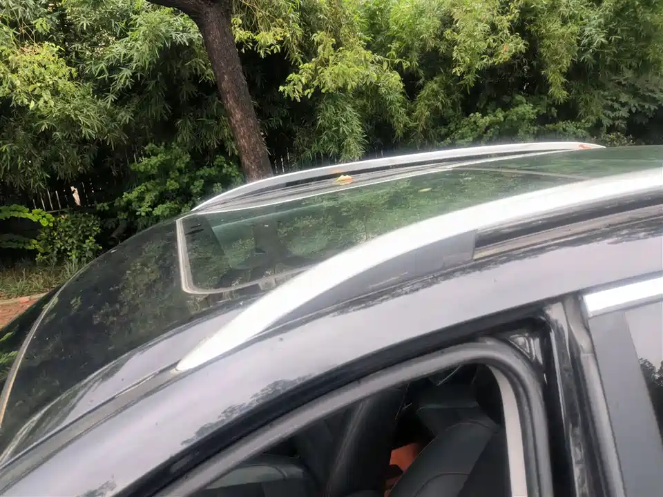 Leopaard Cheetah CS10