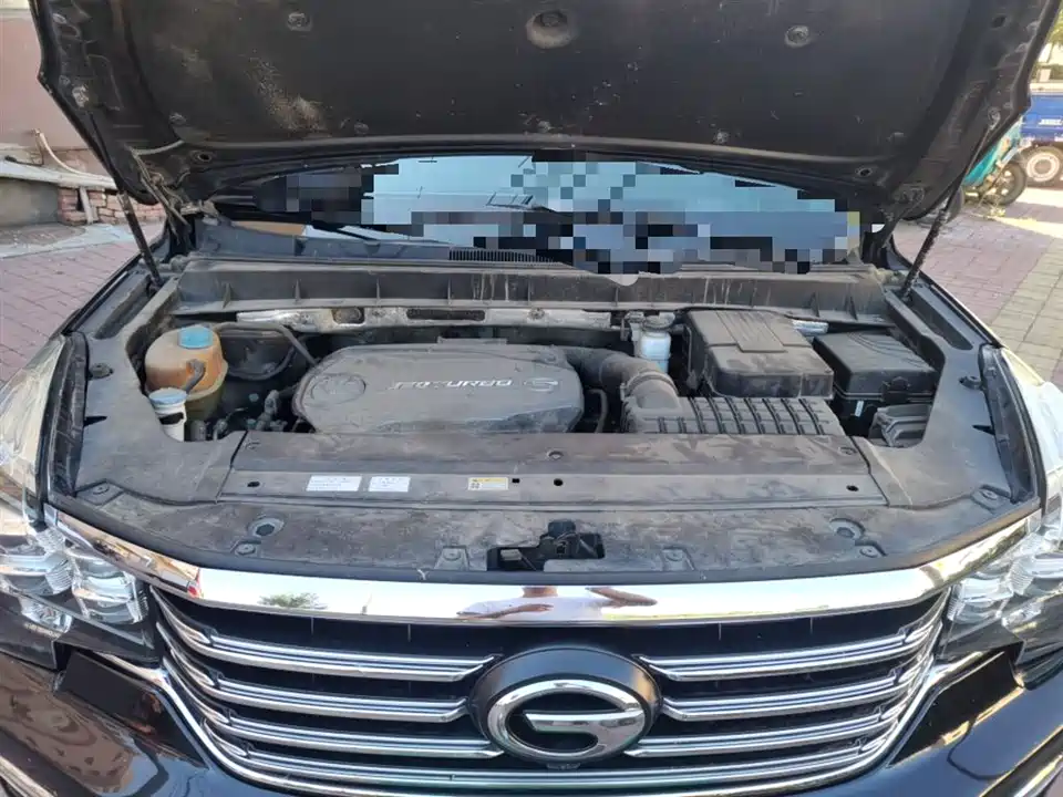 Trumpchi Trumpchi GS8