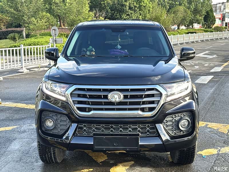 Great Wall D20D, 2019 2
