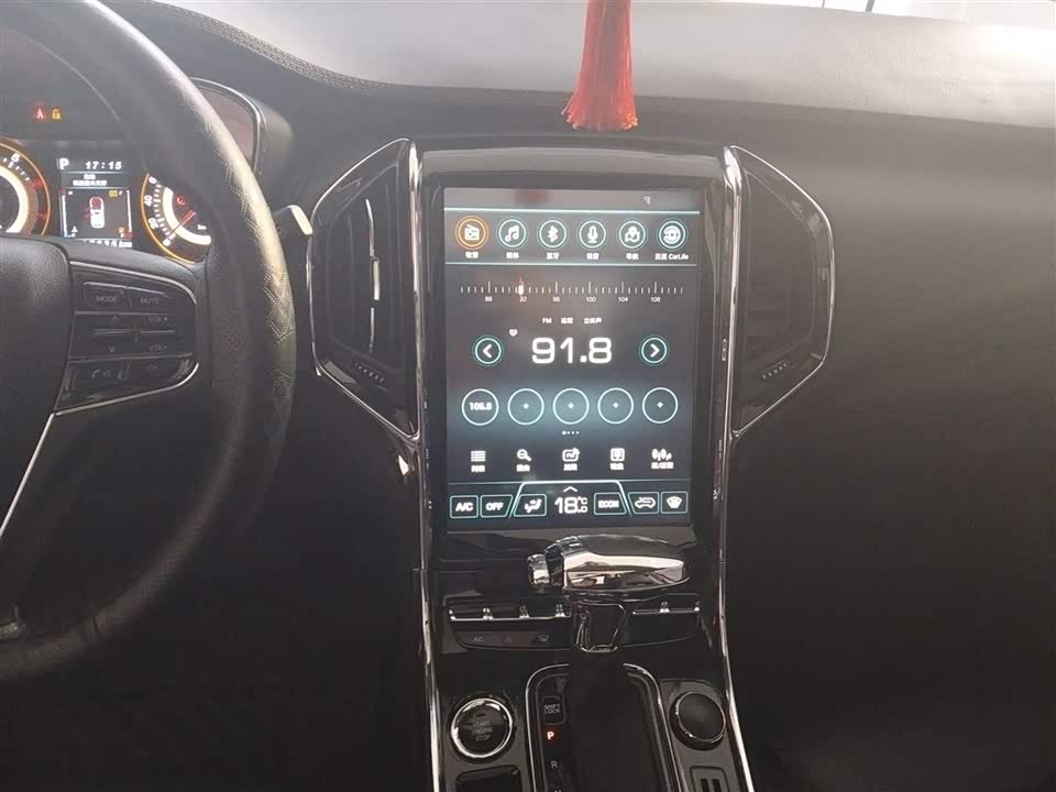 Leopaard Cheetah CS9