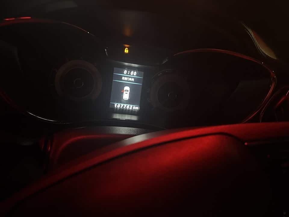 Leopaard Cheetah CS9