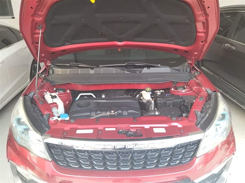 Leopaard Cheetah CS9