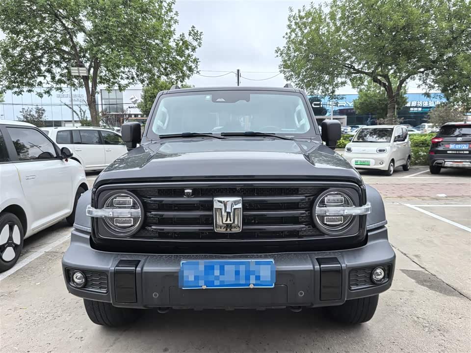 Tank 300