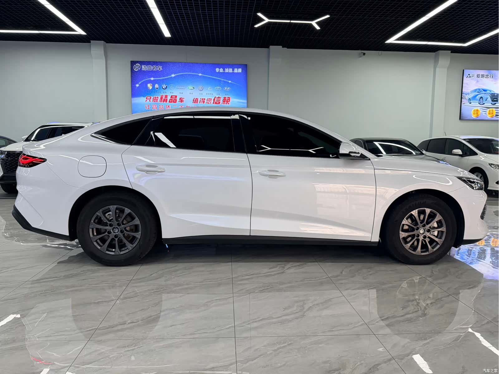 BYD Qin, 2024 6