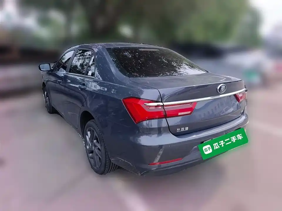BYD Qinxin Energy
