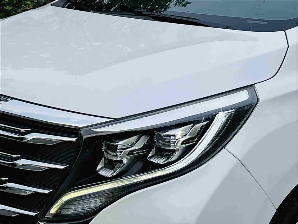 Trumpchi Trumpchi M8