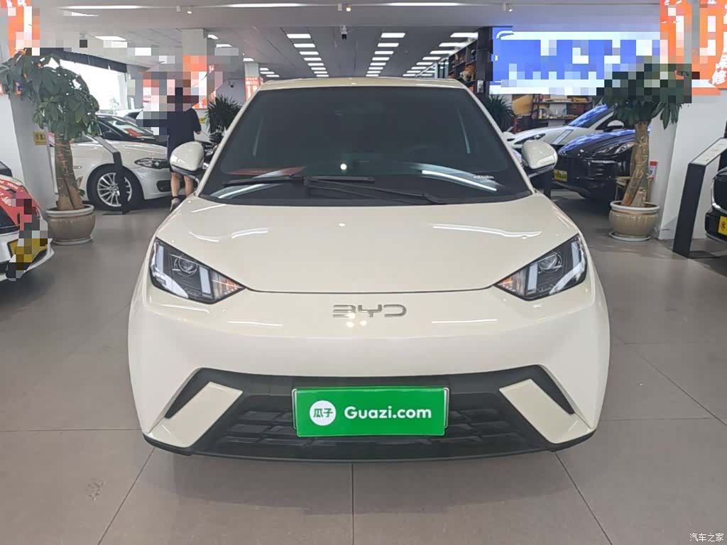 BYD Seagull, 2024 3