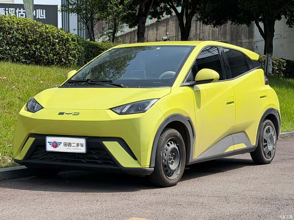 BYD Seagull, 2024 1