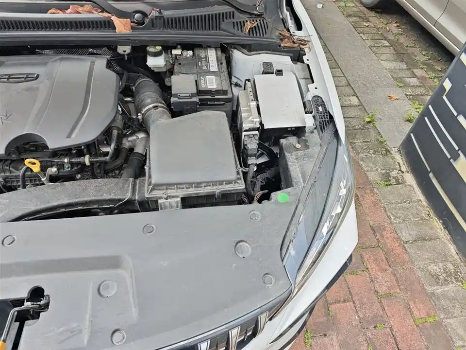 Geely Binrui