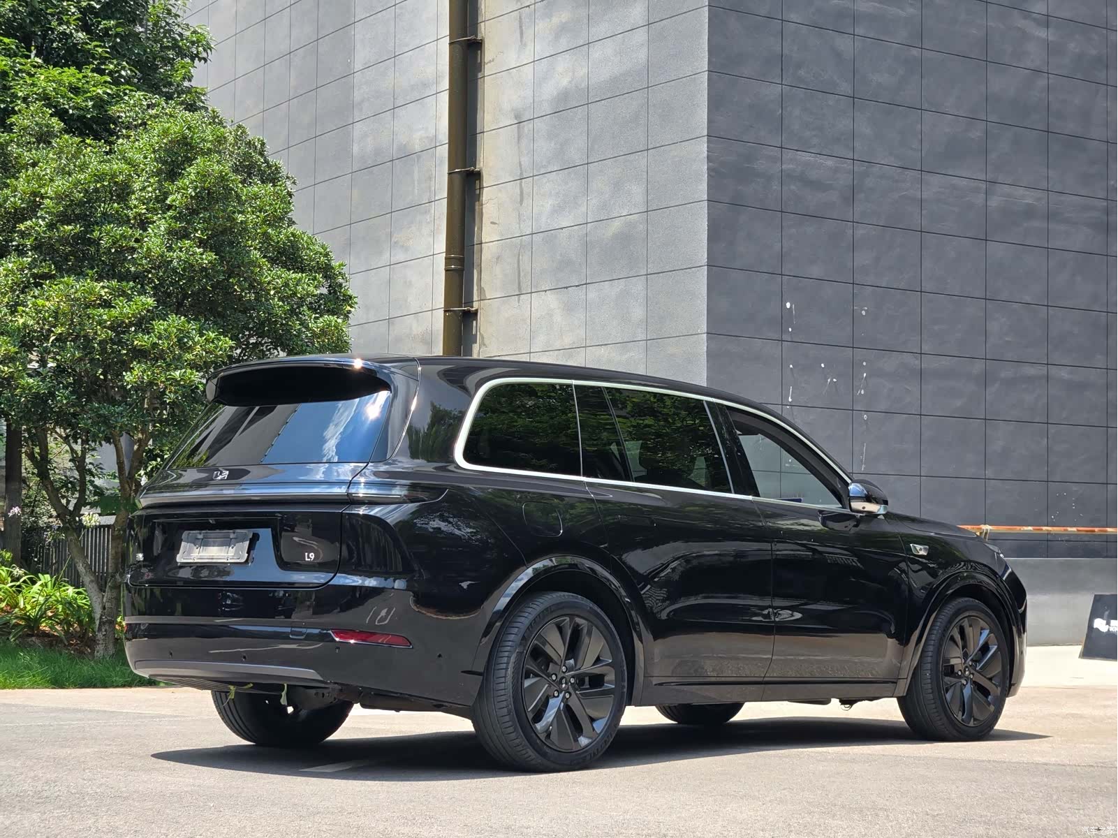 Li Auto L9, 2023 все фото