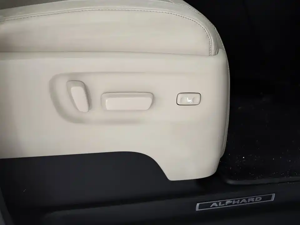 Toyota Elfa