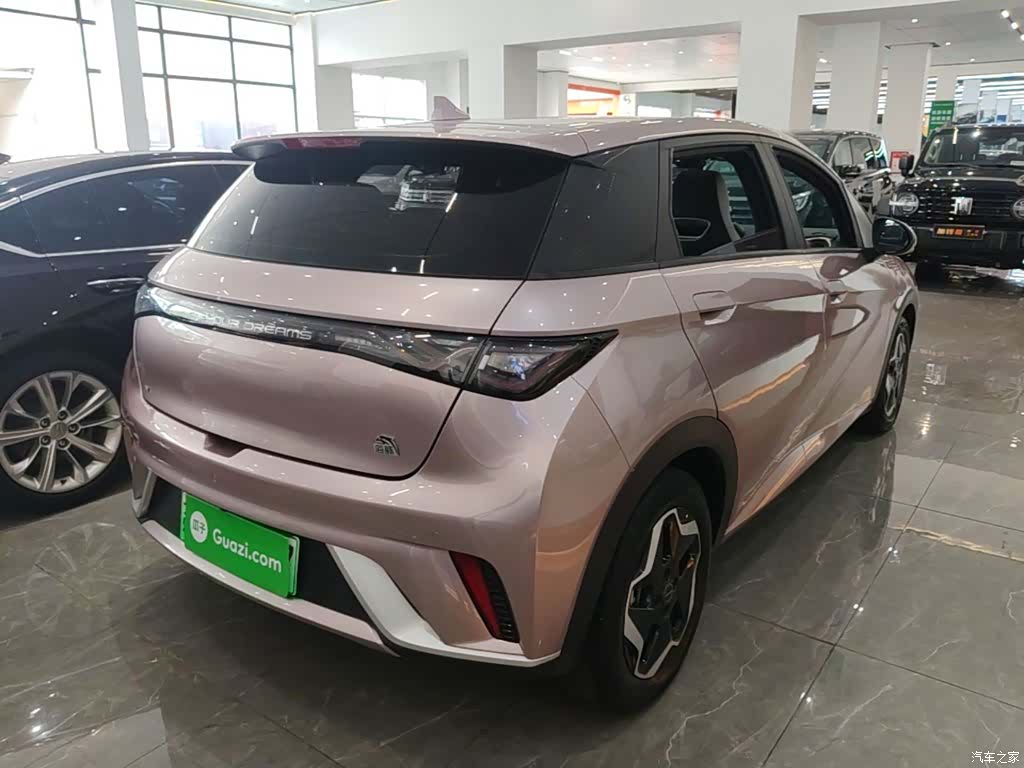 BYD Dolphin, 2022 7