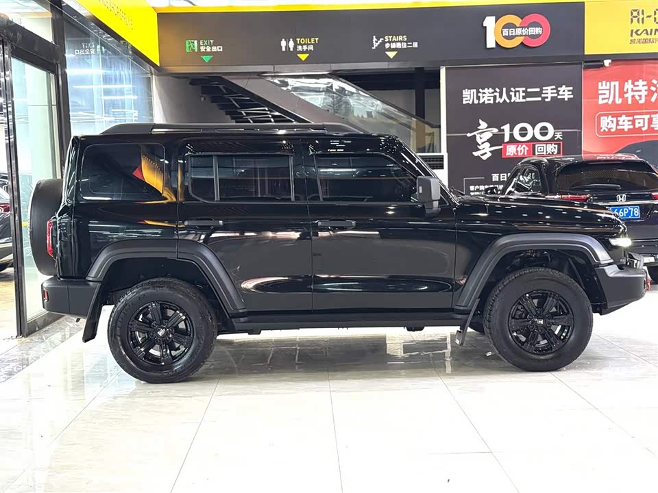 Tank 300
