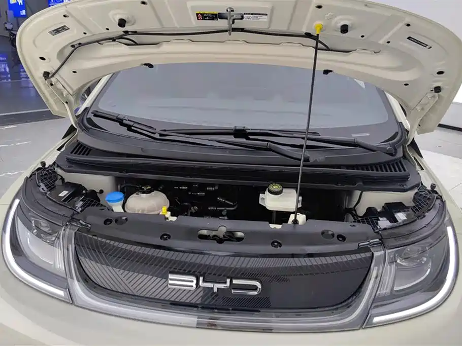 BYD dolphin