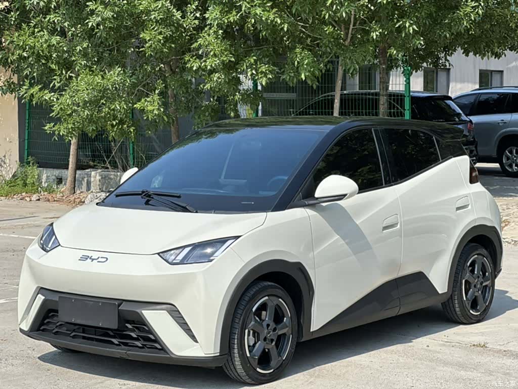 BYD Seagull, 2024 1