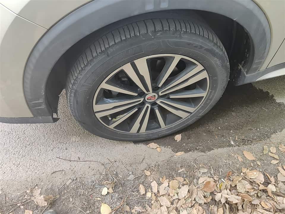 Roewe RX5 New energy