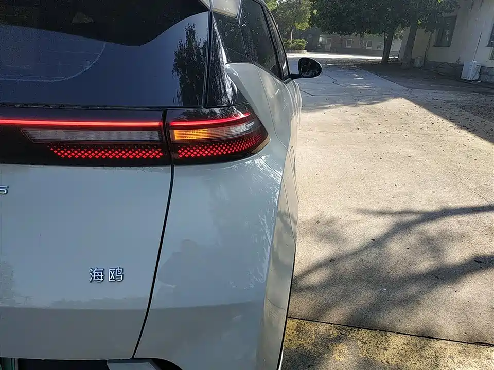 BYD Seagull