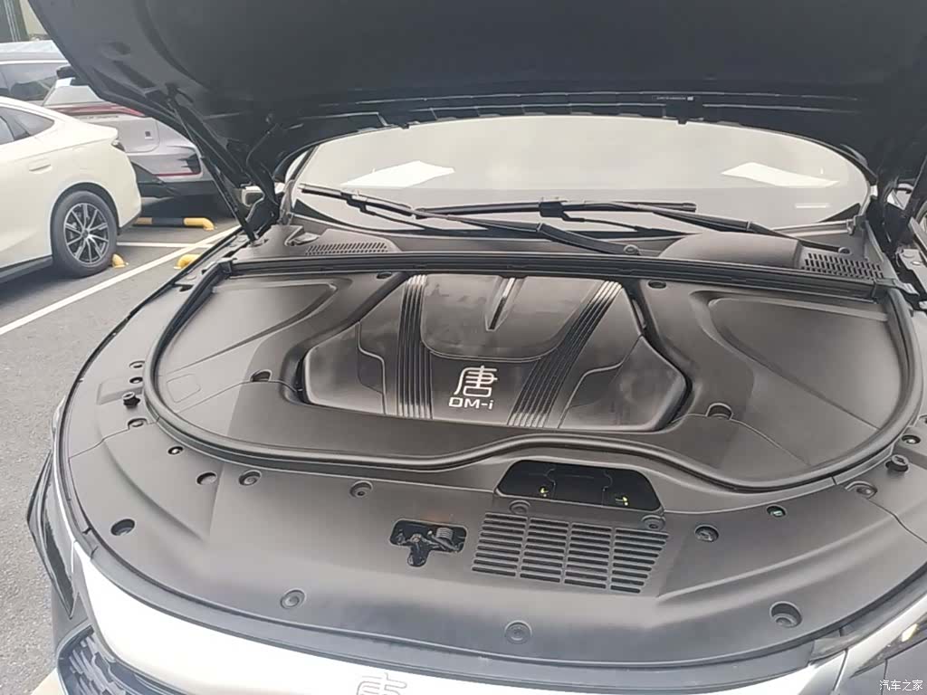 BYD Tang, 2024 20