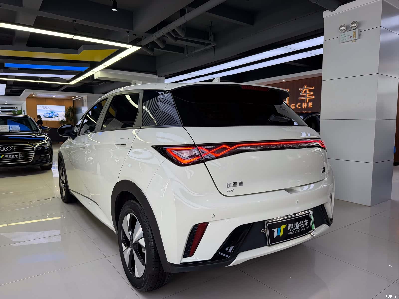 BYD Dolphin, 2023 все фото
