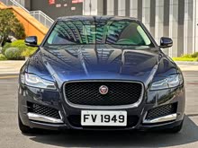 �ݱ�XFL 2019�� XFL 2.0T 250PS ����������