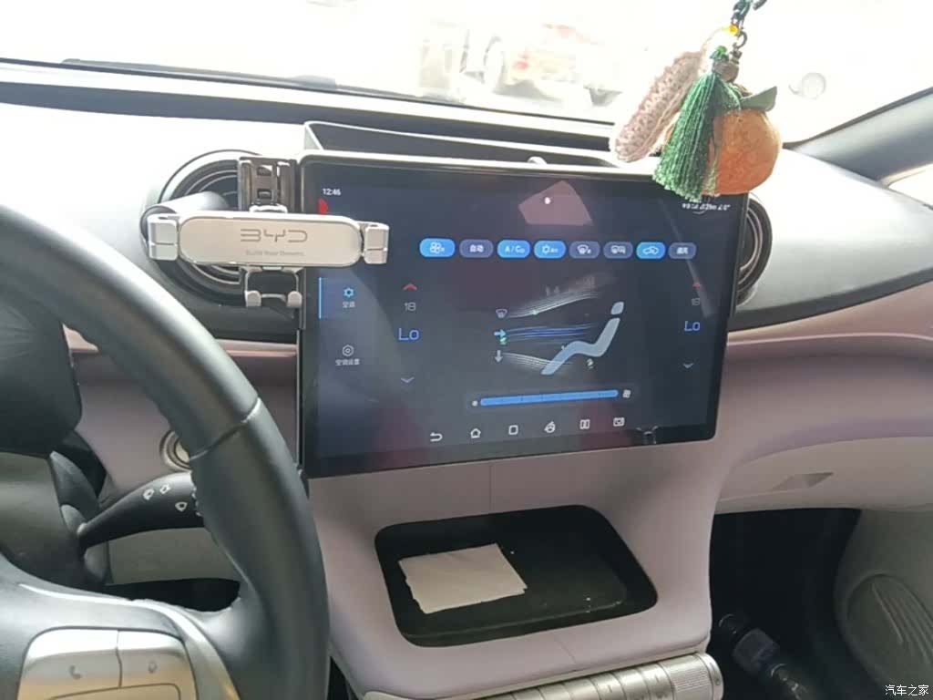 BYD Dolphin, 2022 13
