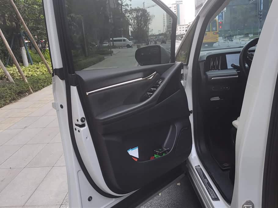 Trumpchi Trumpchi E9