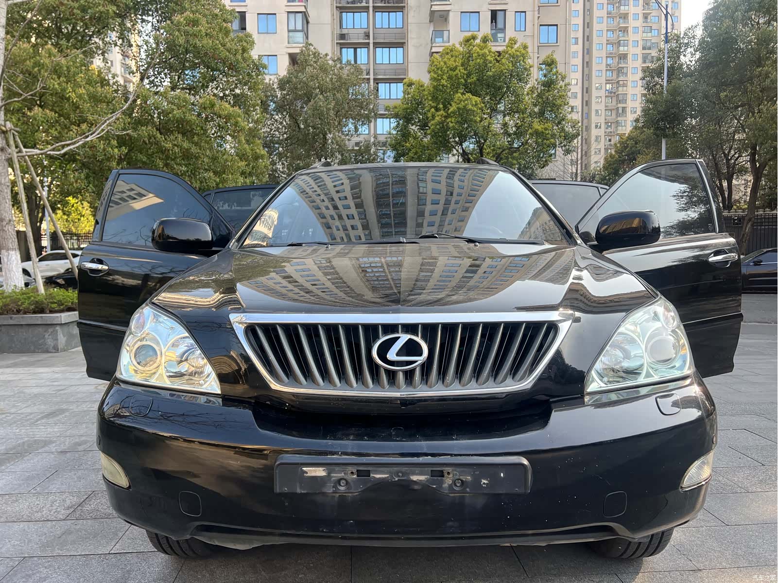Lexus RX, 2008 1