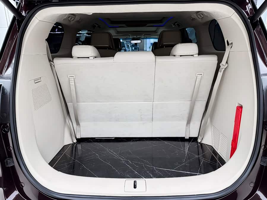Buick GL8 2021, фото 13