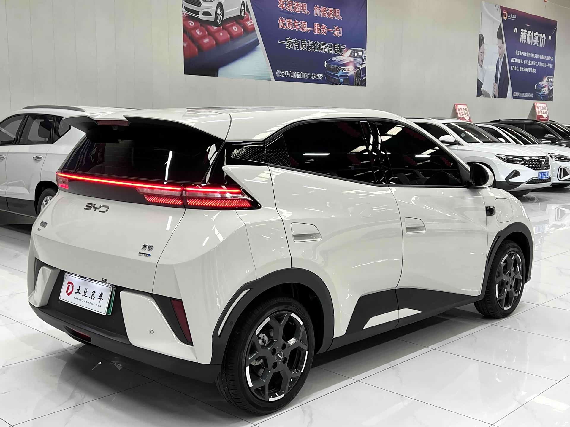 BYD Seagull, 2025 6