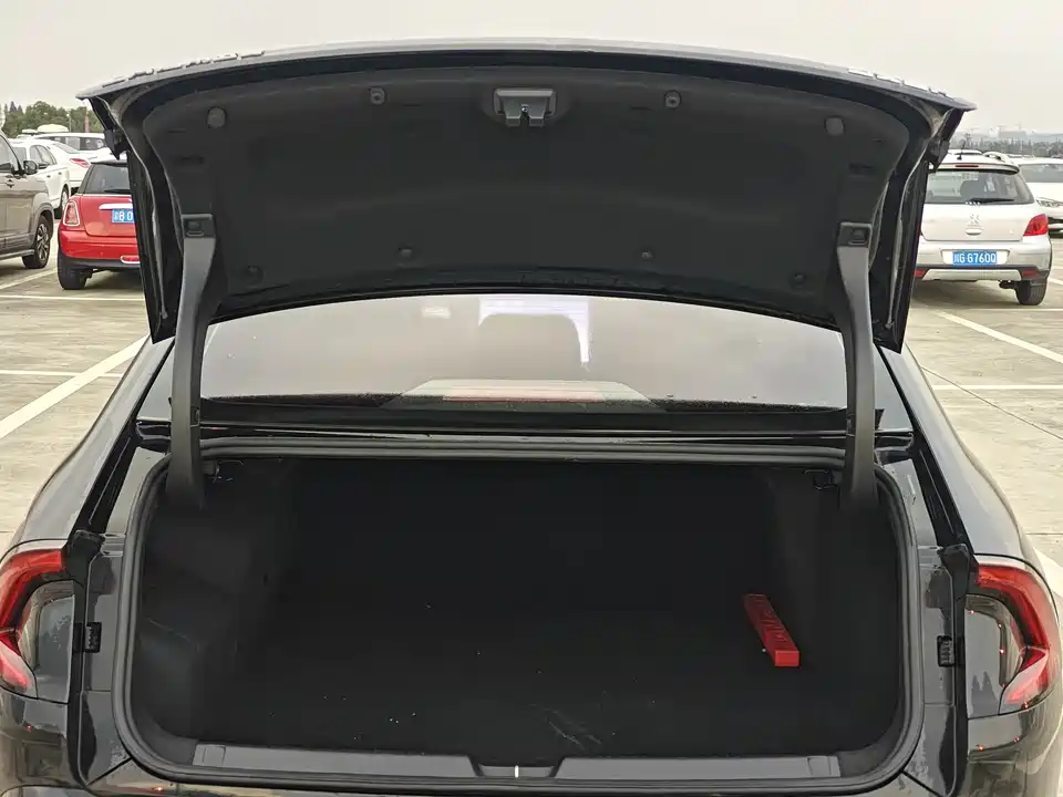 Wuling Wuling Starlight