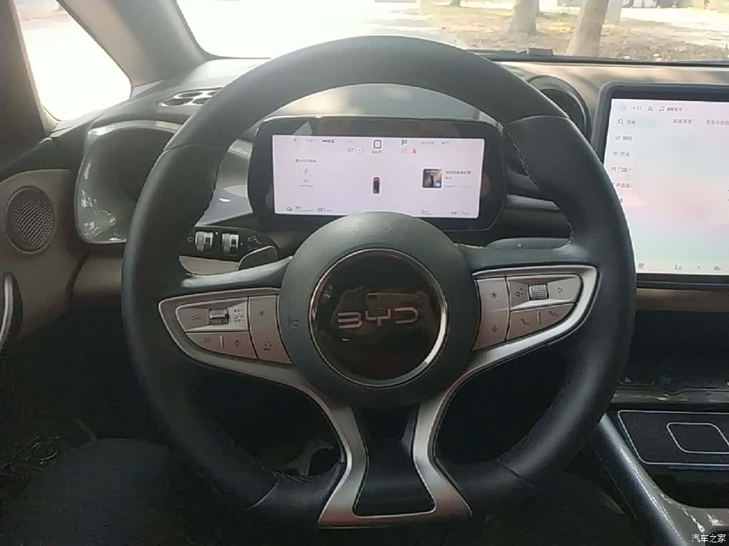 BYD Dolphin, 2025 11