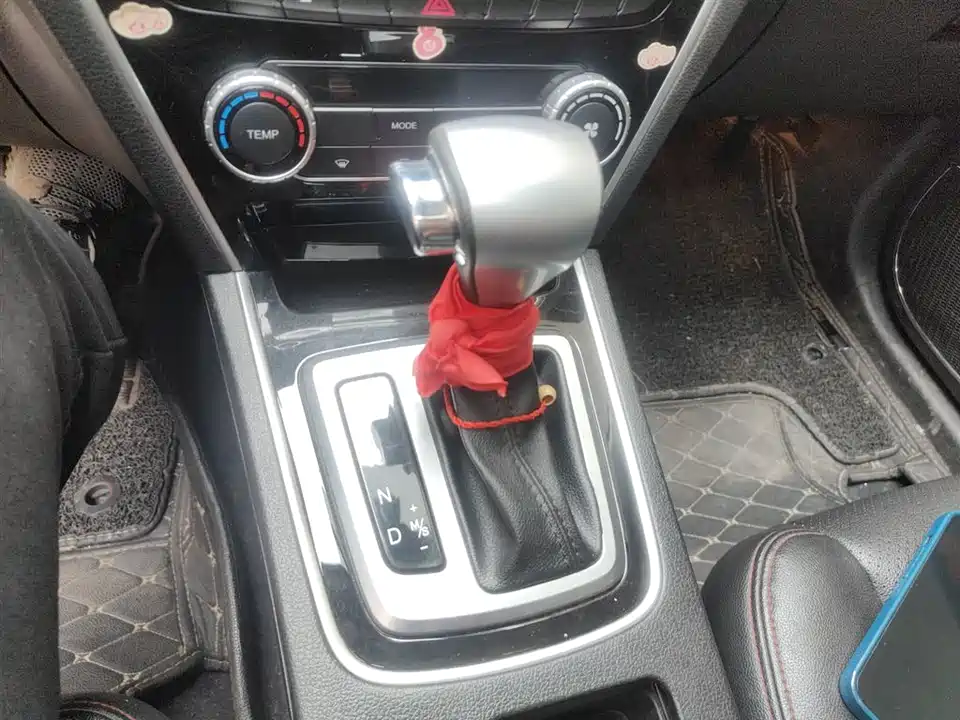 Leopaard Cheetah CS10