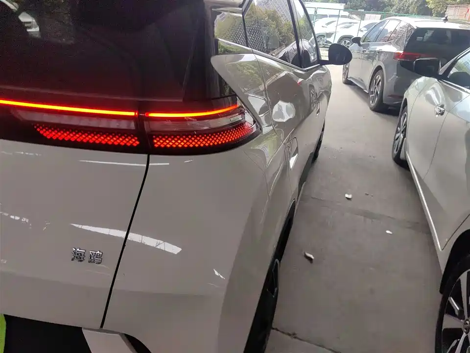 BYD Seagull