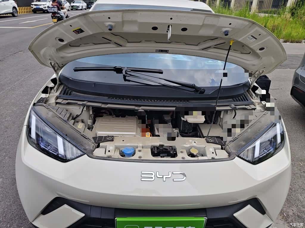 BYD Seagull, 2024 11