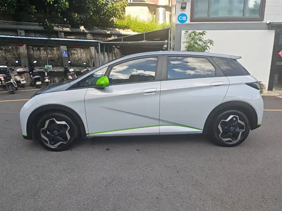 BYD dolphin BYD dolphin