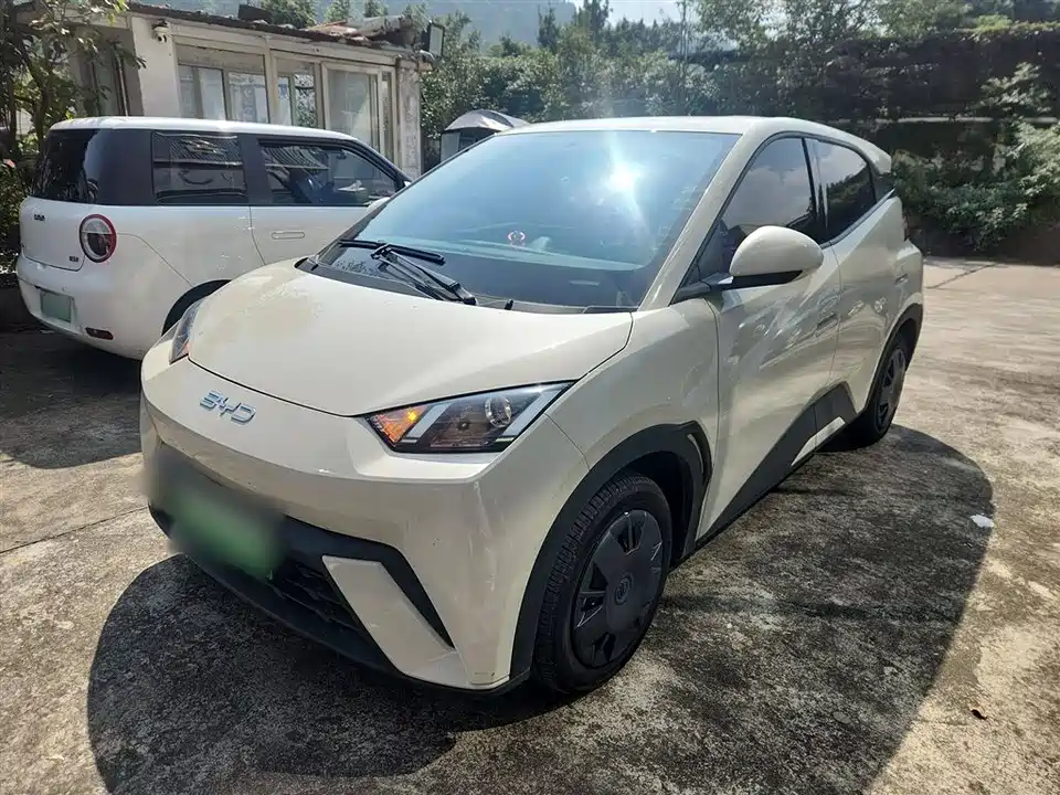 BYD Seagull
