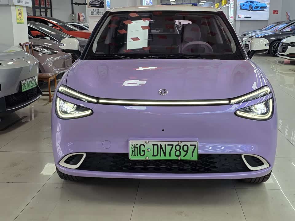 Dongfeng Nammi Nano 01