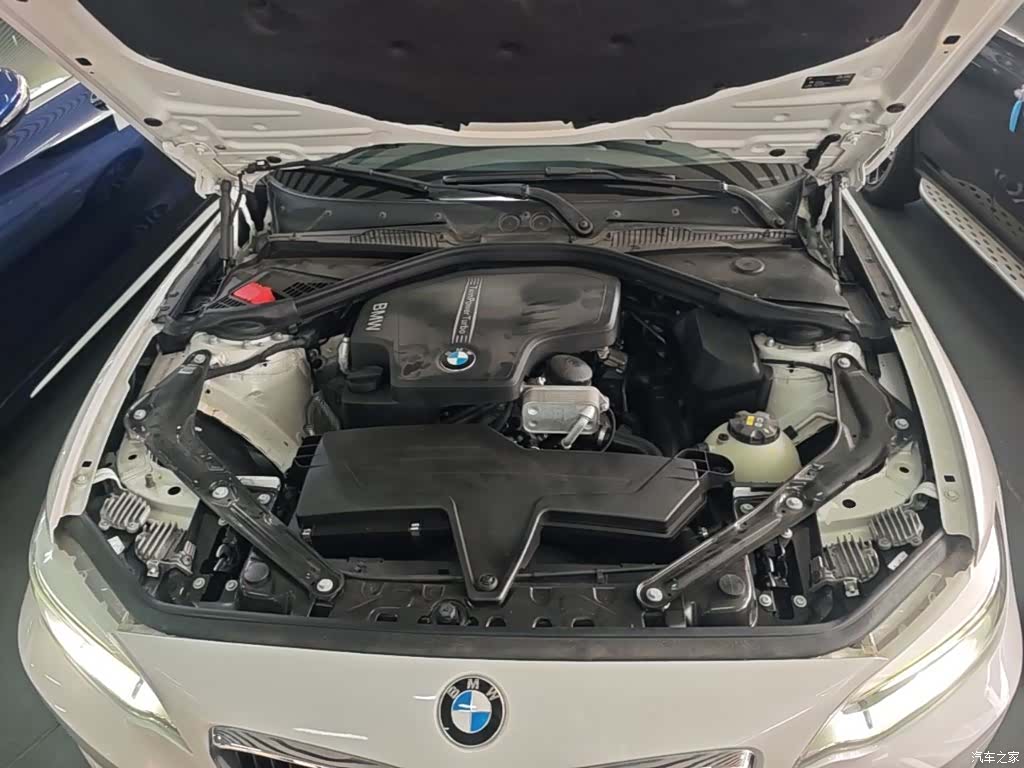 BMW 2 Series, 2016 20