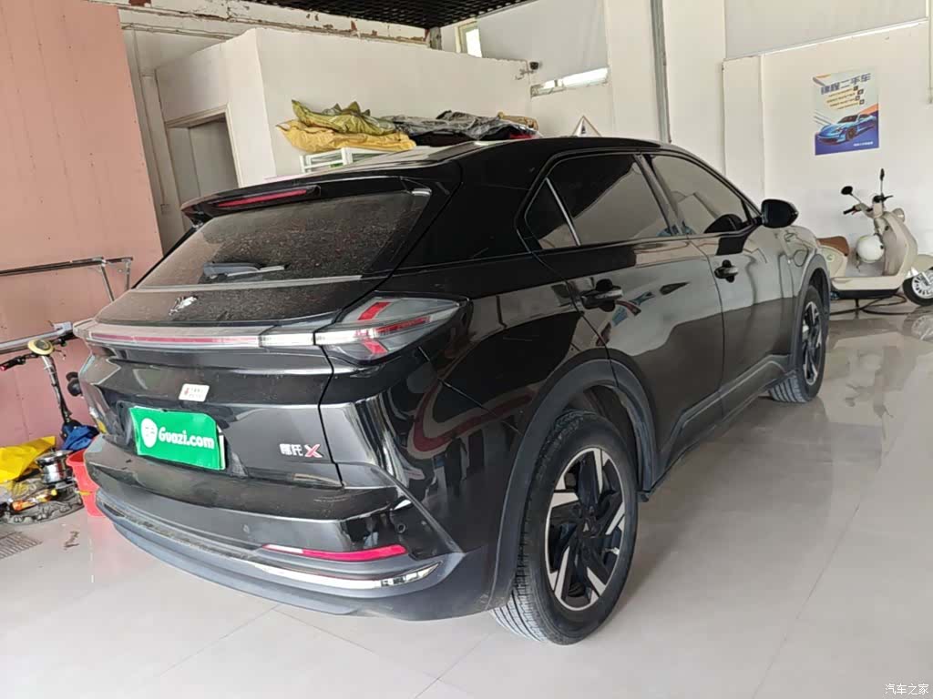 Neta L, 2024 7