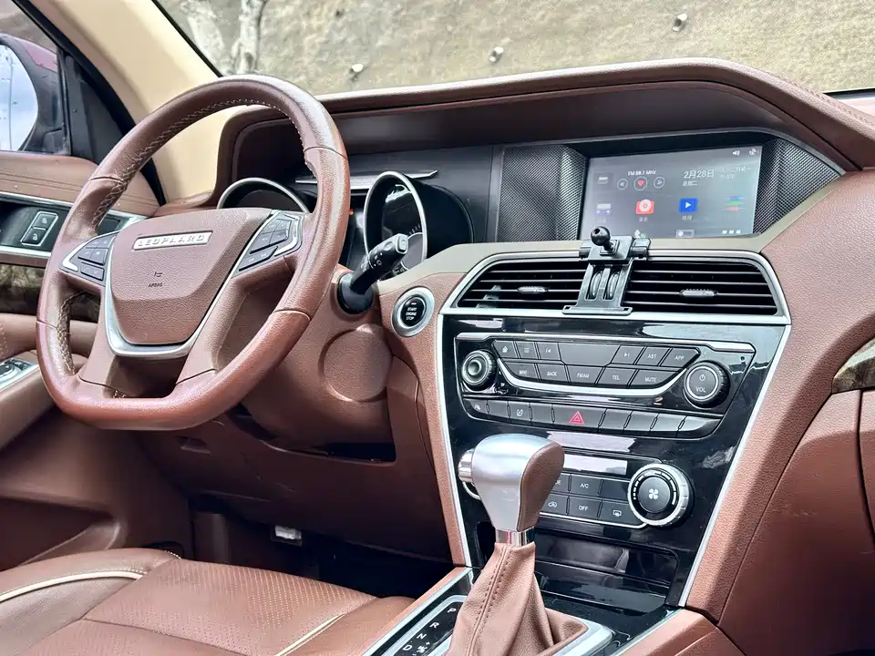 Leopaard Cheetah CS10