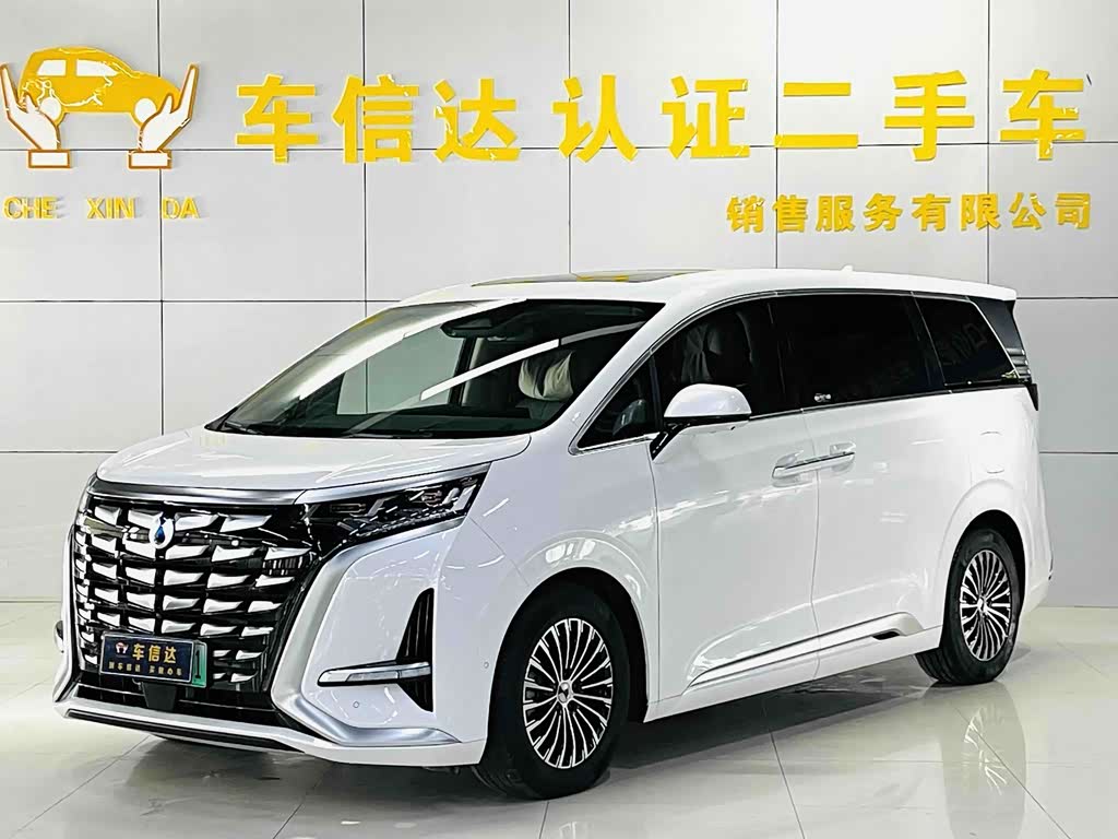 Denza D9