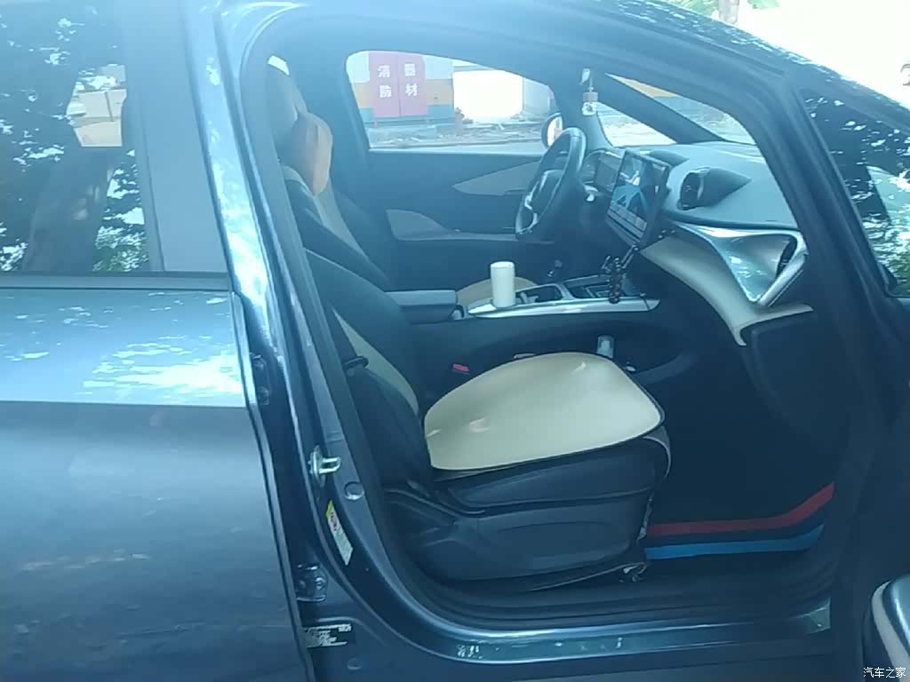 BYD Dolphin, 2025 25