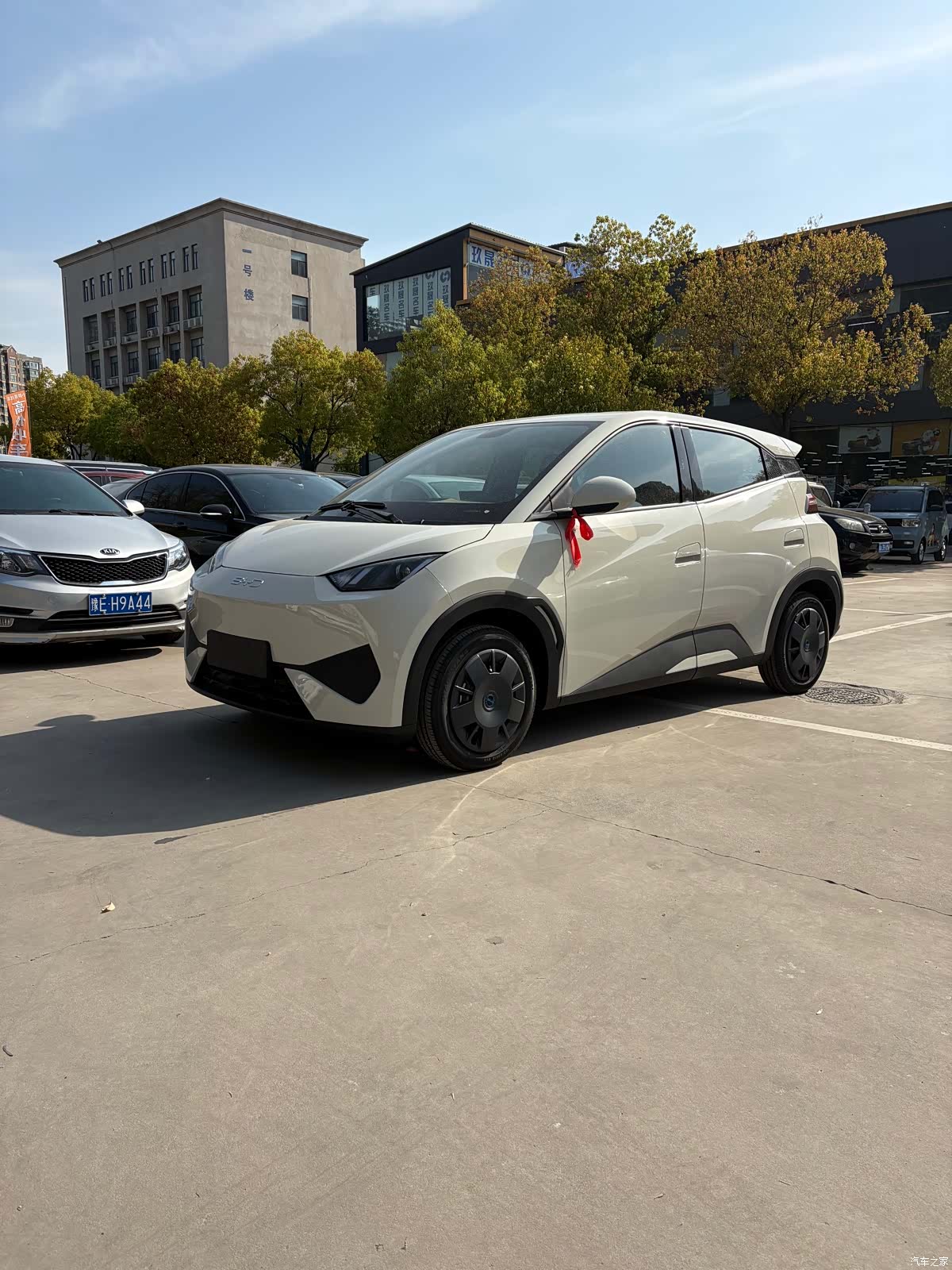 BYD Seagull, 2026 1