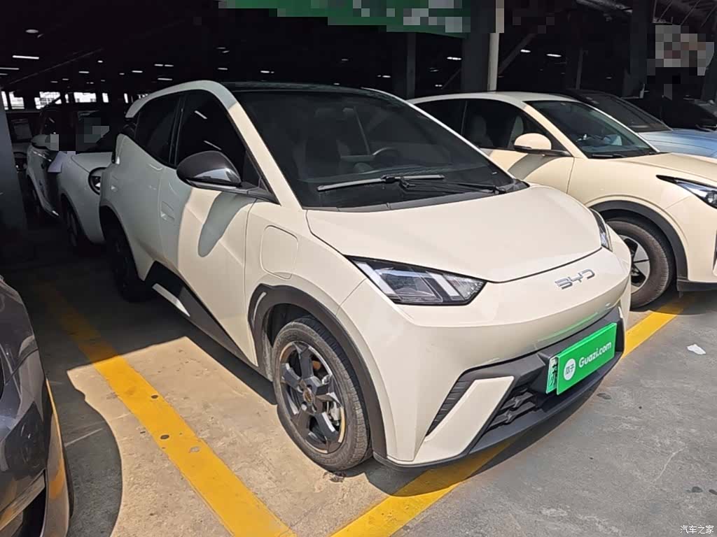 BYD Seagull, 2023 4