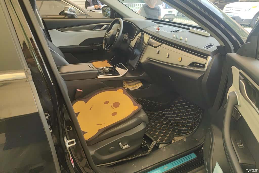 WM Motor EX5, 2020 7
