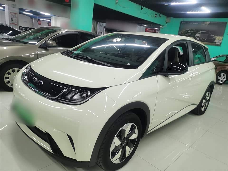 BYD dolphin