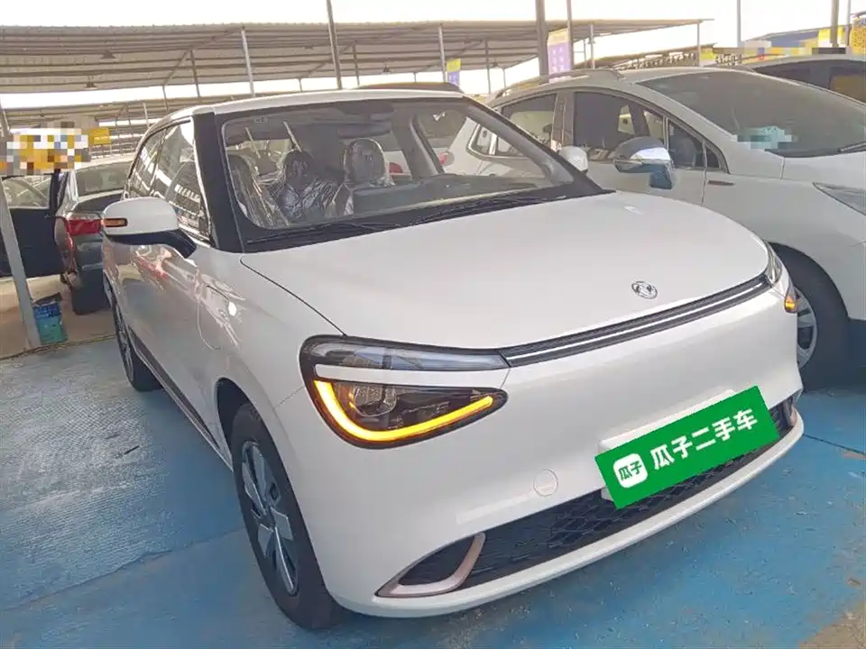 Dongfeng Nammi Nano 01