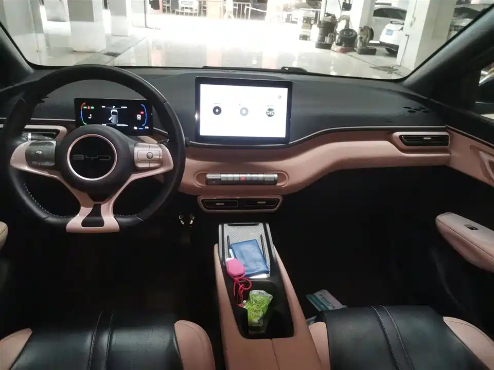 BYD Seagull